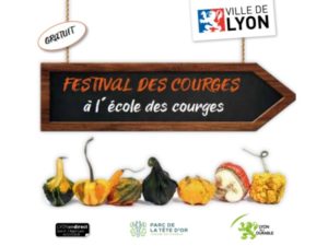 Actu_Festival de la courge_Quenelles du soleil